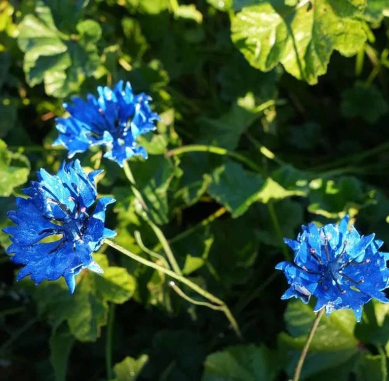 Fleur Bleuet en métal de récupération.